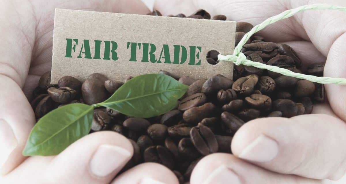 Café de comercio justo: el futuro del café